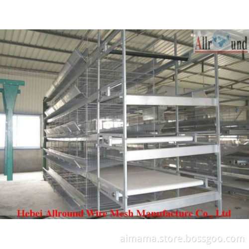 High quailty ! Hot-sales ! Chicken egg layer cage